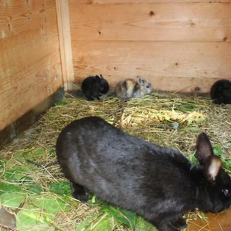 Chalet Cristall Superior Appartement 6 Leutasch